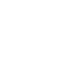 icon für 